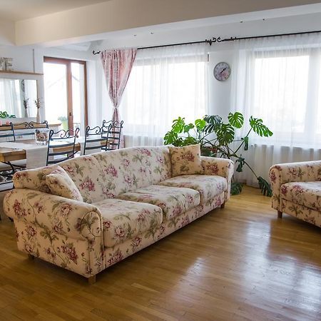 Silvia'S Apartment Voluntari Bagian luar foto
